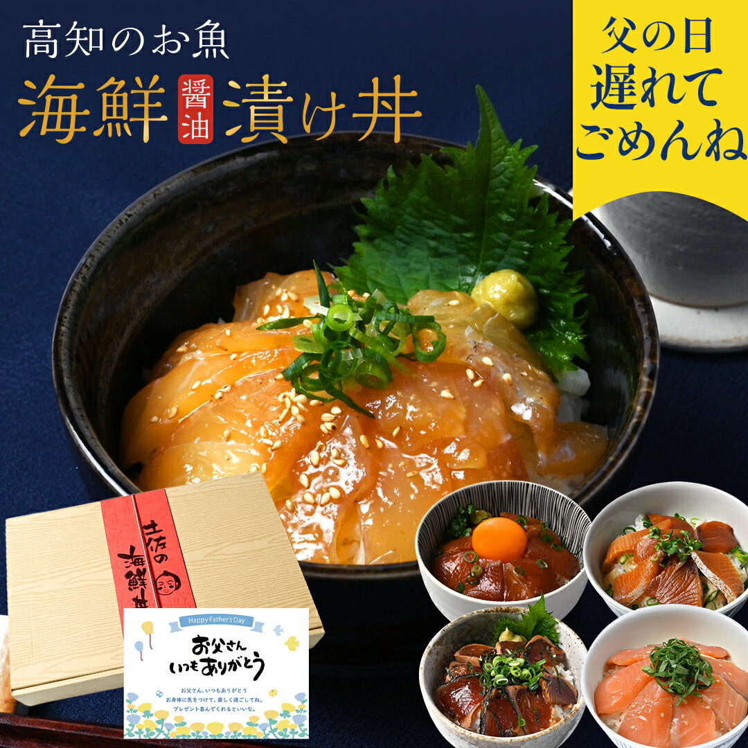 父の日 遅れてごめんね 海鮮丼セット 海鮮丼 藁焼き 鰹たたき 漬け丼 サーモン タイ ブリ 海鮮福袋 海鮮丼の具 海鮮ギフト 食べ物 グルメ 刺身 冷凍 高知 プレゼント ペアギフト 父の日ギフト プレゼント おつまみ 実用的 ギフト