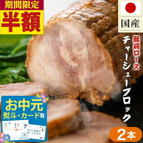 【半額★8/5～8/6まで】豚肩ロース チャーシューブロック 2本 (600g×2本) 約1.2kg チャーシュー ブロック 武田ハム 焼豚 国内製造 加工肉 国産 豚 お取り寄せ プレゼント おつまみ 内祝い お返し 豚肉 食品 焼き豚 お中元